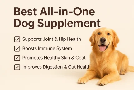 Supplement