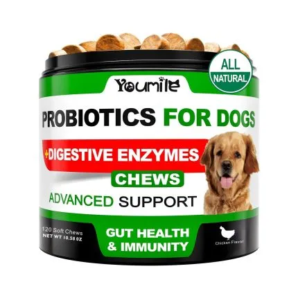 Probiotics For Dog Supplement